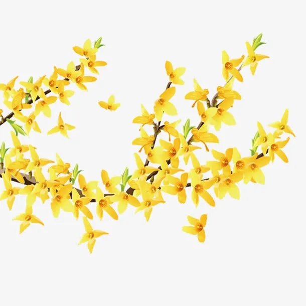 黄色的花免抠