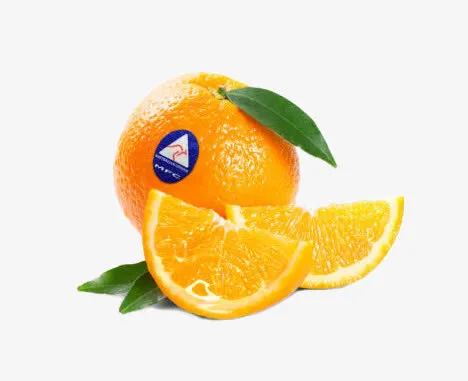 澳洲香橙免抠