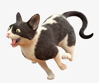 奔跑的猫免抠