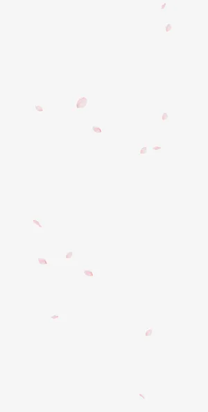飘浮花瓣免抠