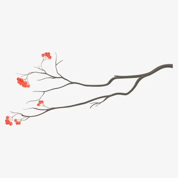 植物腊梅树免抠