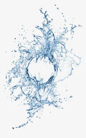 水花四射免抠