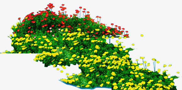黄红色花朵植物绿化免抠