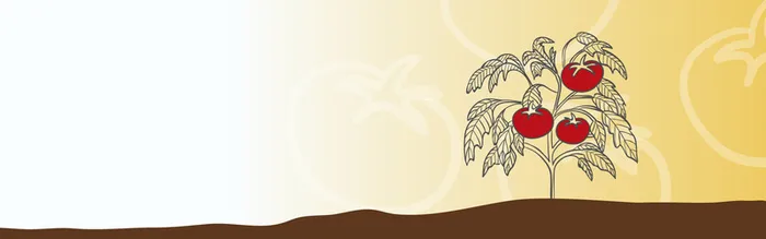 手绘园艺元素banne背景高清