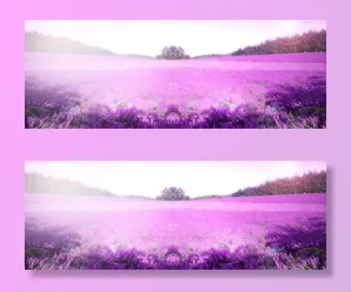 紫色薰衣草唯美梦幻背景banner免抠