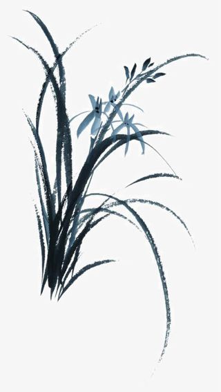 手绘兰草免抠