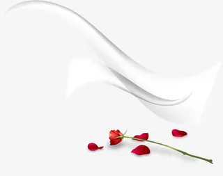 韩国时尚花纹装饰单支玫瑰免抠