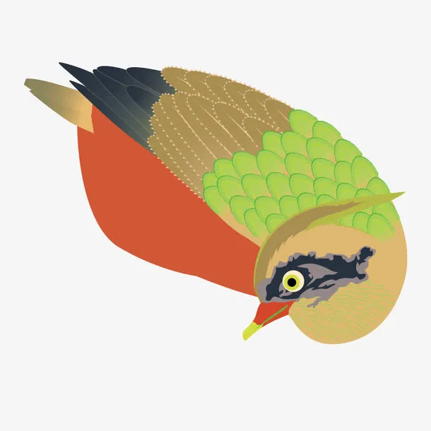 矢量五彩喜鹊免抠