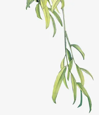 手绘黄绿色树叶树枝装饰免抠