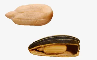 瓜子仁和带皮瓜子免抠