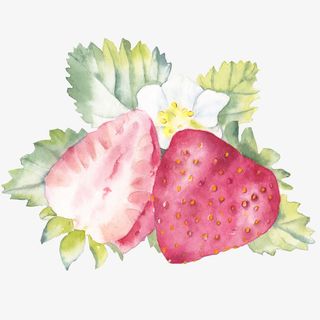 手绘绿色的草莓免抠