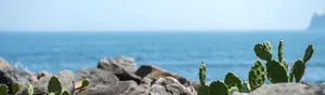 海边背景高清