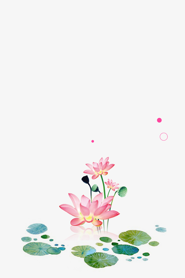 粉色荷花免抠