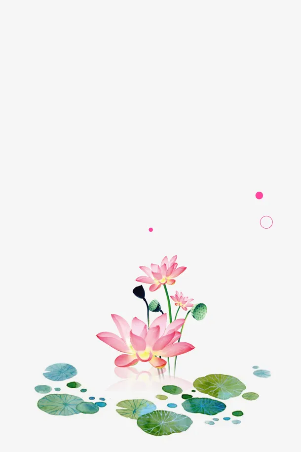 粉色荷花免抠