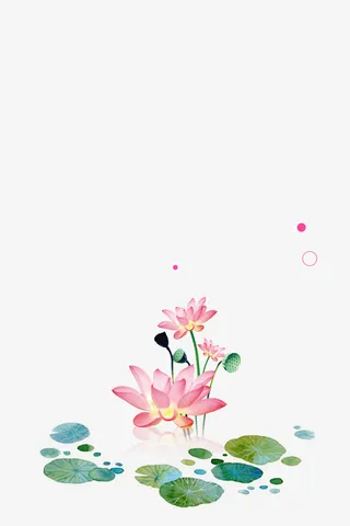 粉色荷花免抠