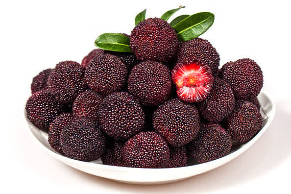 新鲜水果杨梅酸梅免抠