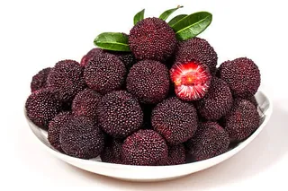 新鲜水果杨梅酸梅免抠