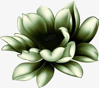 浅绿色手绘荷花中秋免抠