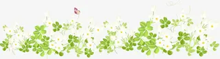绿白色清新植物鲜花免抠
