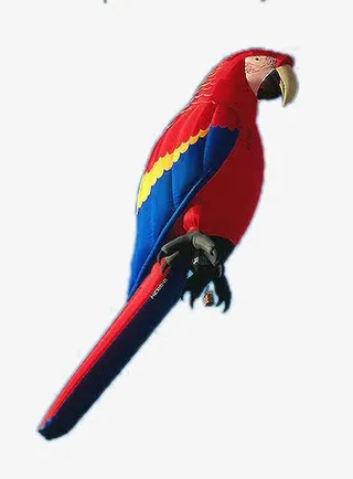 鹦鹉形状热气球免抠