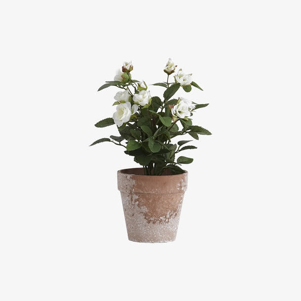 欧美流行插花 绿植物 鲜花软装免抠