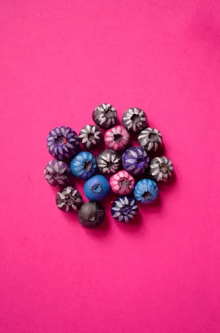 粉色背景各种颜色物体