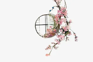 顶部花朵 黑色窗户 png素材免抠