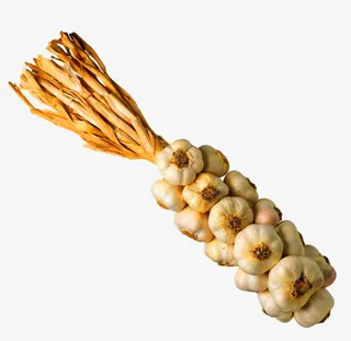 一串连在一起的大蒜免扣素材免抠