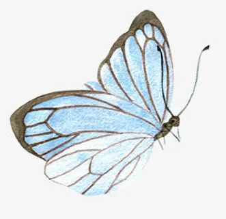 水墨油画水彩蝴蝶免抠
