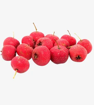 山楂免抠