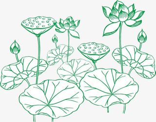 中国风美丽手绘莲子免抠