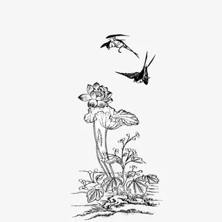 喜鹊 荷花 线条 手绘 装饰图案免抠