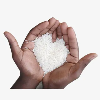 手捧大米免抠 手捧大米免抠