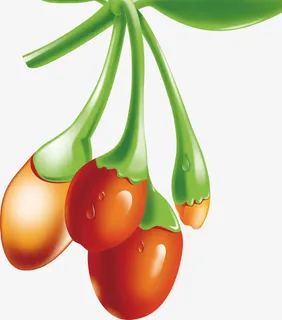 卡通手绘高清枸杞免抠