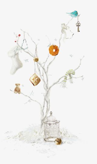 枯枝上的物件免抠