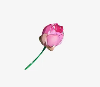 荷花花瓣花苞莲叶莲花中国风素材免抠