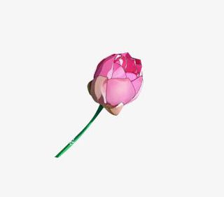 荷花花瓣花苞莲叶莲花中国风素材免抠