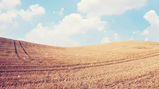 唯美的蓝天白云草地免抠