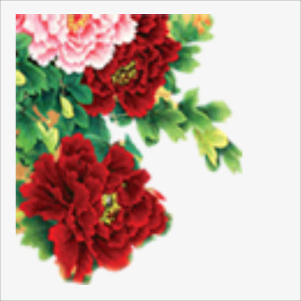 花朵免抠