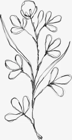 水墨花朵元素36免抠