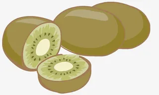 猕猴桃插画免抠