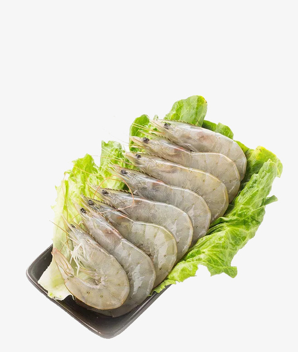热带南美对白虾PNG免抠