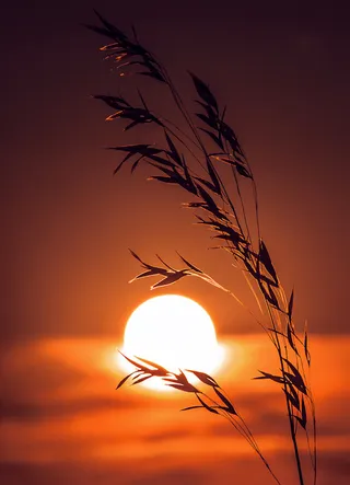 中秋H5背景高清