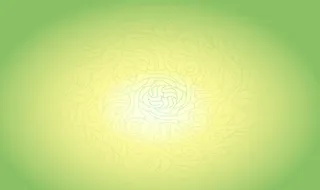 端午节花纹背景海报