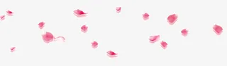 漂浮花瓣免抠