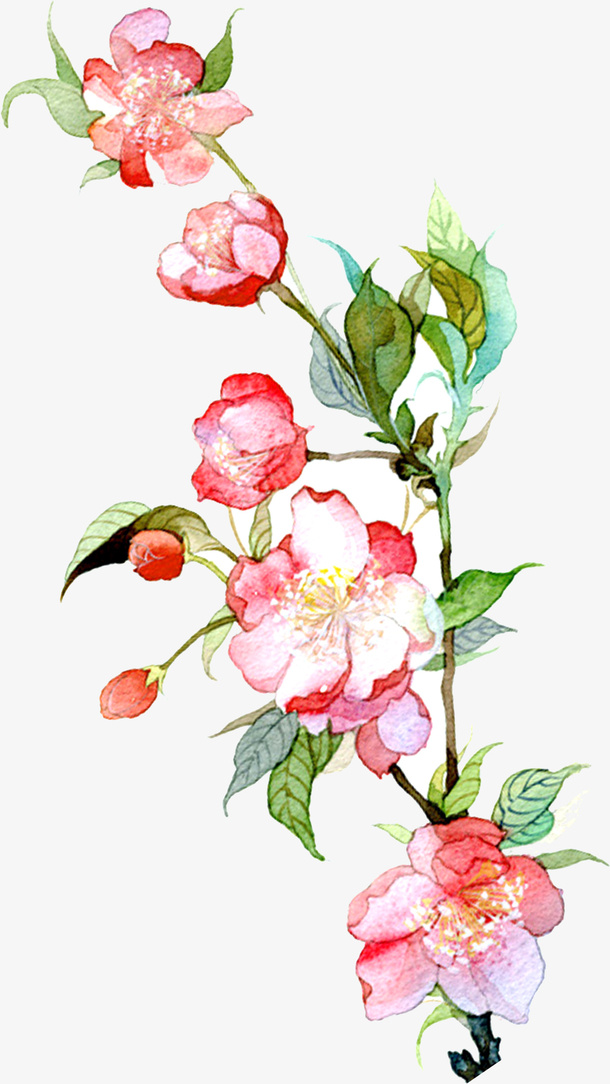 春天，手绘，花，卡通免抠