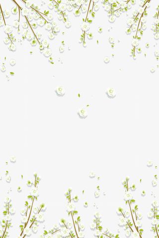 春天树叶纹理边框免抠