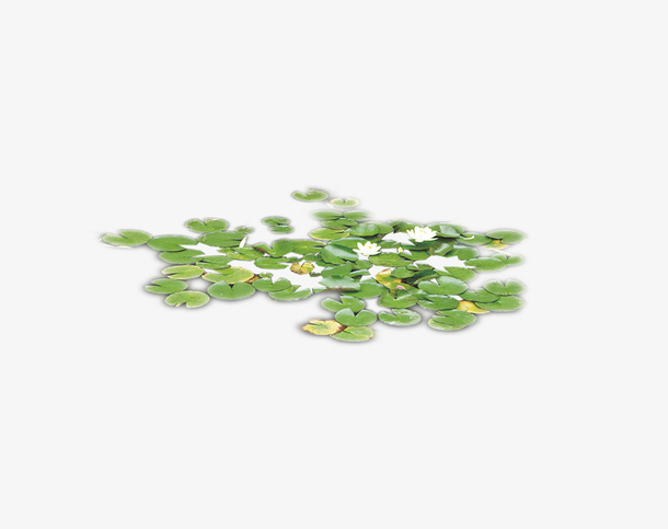 绿色荷叶荷花装饰免抠