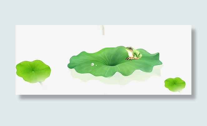 漂浮的莲叶与青蛙免抠
