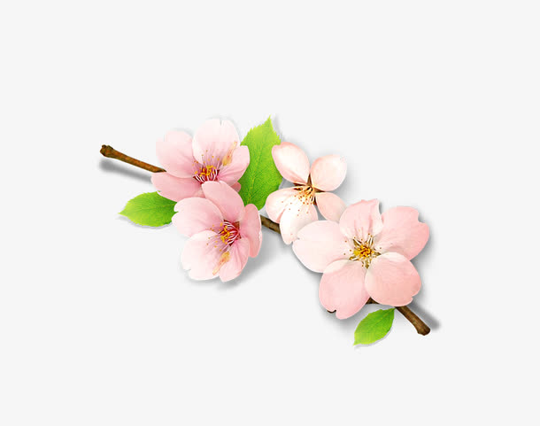 桃花装饰免抠